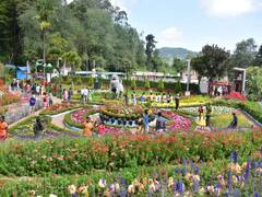 Kodaikanal : கண்ணை கவரும் பூக்கள்.. கொடைக்கானலில் 59-வது மலர் கண்காட்சி சிறப்பு ஆல்பம் !