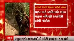 પશુપાલકો-માલધારીઓની મોટી સમસ્યા હલ, વાડાની જમીનોને કાયદેસરનો હક અપાશે, જુઓ વીડિયો