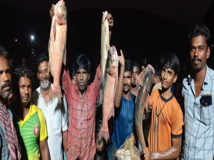 நாட்டு வகை மீன்களை பிடித்த மகிழ்ச்சியில் மேலவளவு கிராமத்தை சேர்ந்த இளைஞர்கள்.