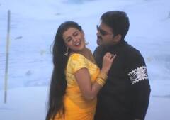 Bhojpuri Song: पीली साड़ी पहन बर्फीली वादियों में आहें भरती दिखीं Akshara Singh, पवन सिंह हुए लट्टू