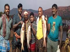 மதுரை : சாதி, மதங்களை கடந்து உற்சாகமாக நடைபெற்ற மேலவளவு மீன்பிடி திருவிழா..