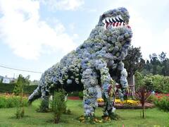 Kodaikanal : கண்ணை கவரும் பூக்கள்.. கொடைக்கானலில் 59-வது மலர் கண்காட்சி சிறப்பு ஆல்பம் !