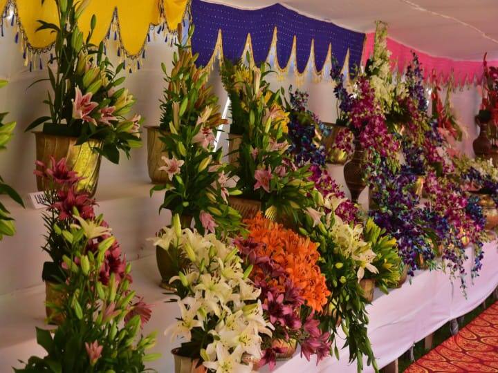 பூங்கொத்துக்களால் நிறைந்து காணப்படும் பூங்கா.