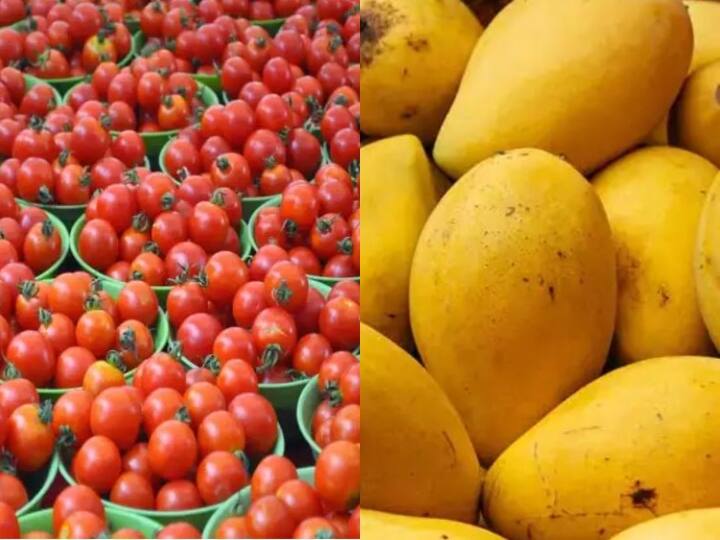 Tomato Mango Rate crossed 100 rupees per Kilogram due to heatwave scorches crop Tomato Price: टमाटर और आम के दाम में उछाल, 100 रुपये प्रति किलो के पार पहुंचे रेट-जानिए क्या है वजह