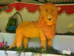 Kodaikanal : கண்ணை கவரும் பூக்கள்.. கொடைக்கானலில் 59-வது மலர் கண்காட்சி சிறப்பு ஆல்பம் !