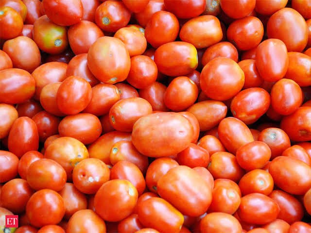 Tomato Price : टोमॅटोची स्पर्धा पेट्रोल-डिझेलच्या दरासोबत, शेतकऱ्यांना दिलासा, ग्राहकांना चटका