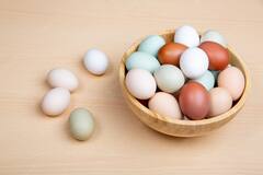 Egg Side Effects: क्या आप भी सेहत बनाने के लिए रोजाना खाते हैं कई अंडे? जान लें इससे होने वाले नुकसान