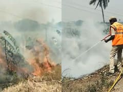 Tadepalli Fire Accident: తాడేపల్లిలో చంద్రబాబు నివాసం సమీపంలో అగ్నిప్రమాదం, అధికారుల ఉరుకులు పరుగులు