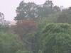 Chhattisgarh Weather Update: छत्तीसगढ़ में इस बार नहीं तपा रहा है नौतपा, आज भी बारिश के आसार, जानें- क्या है मौसम का अपडेट