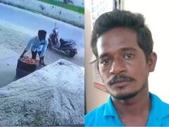 Watch Video: 'வருவார்.. அலேக்காக தக்காளி பெட்டியை தூக்குவார்' சேலத்தை அலறவைத்த தக்காளி திருடன்!