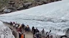 Chardham यात्रा मार्ग पर इंसान की बेहरमी, अब तक 80 से ज्यादा घोड़ा-खच्चरों की हुई मौत | Uttarakhand