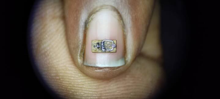 ప్రపంచంలోనే అతి చిన్న ఎలుకల బోనుని రికార్డు టైంలో రూపొందించి అధికారికంగా గిన్నిస్ లో స్థానం సంపాదించాడు.