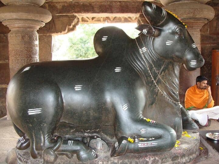 Say something in Nandi ears, wish surely be fulfilled, know rule Shiv Ke Vahan Nandi: नंदी के कानों में कुछ इस तरह से कहें अपनी बात, अवश्य पूरी होगी आपकी मनोकामना, जानें क्या है नियम