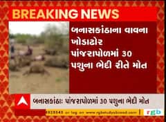 બનાસકાંઠાના વાવમાં પશુઓના ભેદી મોત