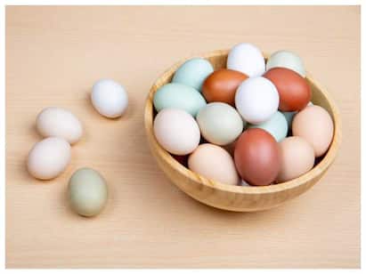 Do eggs increase the chance of heart disease? ”ஆம்லெட் இல்லாம சாப்பிட மாட்டீங்களா..?” முட்டைகள், இதயநோய்.. என்ன தொடர்பு? ஆய்வு சொல்வது என்ன?