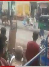 વડોદરામાં દોડતી ગાયે યુવકને લીધો અડફેટે, જુઓ રખડતાં ઢોરના આંતકનો વીડિયો