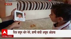 Buldhana Special Report : दीड वर्षाच्या आरोहच्या बुद्धिमत्तेची चर्चा, चित्र बघून नेत्यांची ओळख