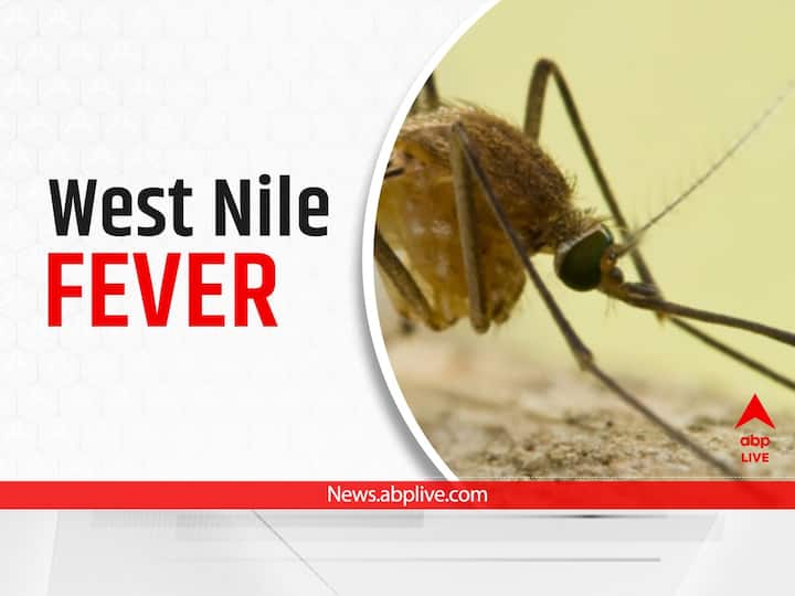 EXPLAINED | What Is West Nile Fever? All About The Disease That Claimed A Life In Kerala EXPLAINED | What Is West Nile Fever? All About The Disease That Claimed A Life In Kerala