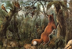 Optical Illusion: ১৬টি প্রাণী লুকিয়ে রয়েছে একটি ছবিতে! উত্তর দিতে অসফল অনেকেই! আপনি পারবেন?