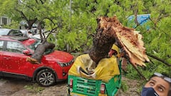 Delhi Storm: আচমকা ঝড়ে বেসামাল দিল্লি, প্রবল ক্ষয়ক্ষতি রাজধানীর বুকে