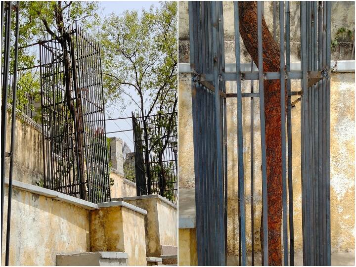 Sandalwood Smuggling: राजस्थान में चंदन की तस्करी रोकने के लिए पुलिस ने उठाया ये कदम, जेल की सलाखों जैसे लगाए ट्री गार्ड Sandalwood Smuggling Tree guards installed like jail bars to stop the ever-increasing sandalwood smuggling ANN Sandalwood Smuggling: राजस्थान में चंदन की तस्करी रोकने के लिए पुलिस ने उठाया ये कदम, जेल की सलाखों जैसे लगाए ट्री गार्ड