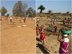 Chhattisgarh News: छत्तीसगढ़ के इस जिले में आर्थिक तंगी से जूझ रहे मनरेगा के मजदूर, 2 महीने के हड़ताल से हुआ करोड़ों का नुकसान