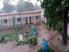 Chhattisgarh Weather Report: छत्तीसगढ़ के इस जिले में हुई आफत की बारिश, अंधड़ ने जमकर मचाई तबाही