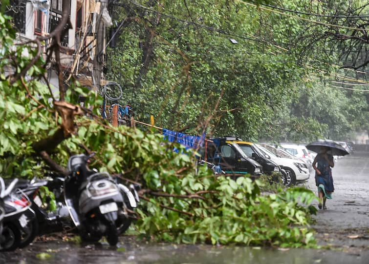 Watch | Heavy Rain & Thunderstorm In Delhi Damage Jama Masjid's Dome, Uproot Trees Watch | Heavy Rain In Delhi Damages Jama Masjid's Dome, Topples Canopy At Vijay Chowk