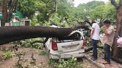 Delhi Storm: আচমকা ঝড়ে বেসামাল দিল্লি, প্রবল ক্ষয়ক্ষতি রাজধানীর বুকে