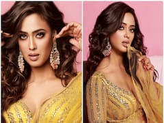 Shweta Tiwari ने महज 12 साल की उम्र से शुरू कर दिया था काम, प्रोफेशनल लाइफ में रहीं हिट, पर्सनल लाइफ में हुई फ्लॉप