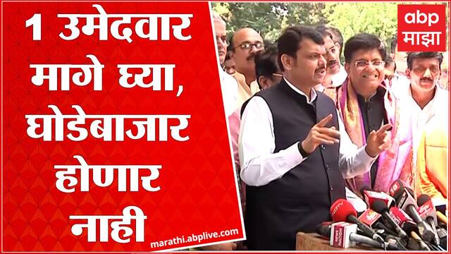 Devendra Fadnavis on Rajya Sabha Election 2022 : आम्हाला घोडेबाजार करायचा नाही : फडणवीस