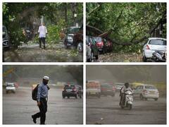In PICS | Heavy Rain, Thunderstorm Lash Delhi, Uproot Trees