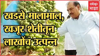 Eknath Khadse Date Palm Farming : एकनाथ खडसेंनी 15 एकरात केली खजुराची यशस्वी शेती