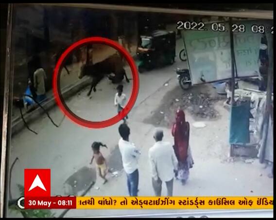 વડોદરાઃ રખડતા ઢોરનો આતંક, ઢોરે યુવકને લીધો અડફેટે