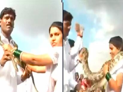 Viral video: Bride and groom exchange snake garlands in freaky wedding ritual Viral video: திருமணத்தில் பாம்பு மாலை மாற்றி பகீர் கிளப்பிய மணமக்கள்! - வைரல் வீடியோ