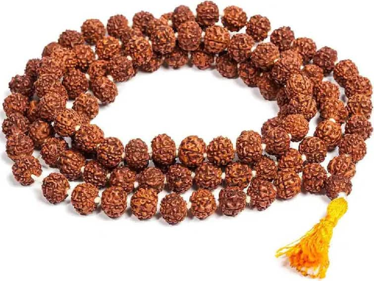 Rudraksh Dharan Niyam Keep these things in mind while wearing Rudraksha Rudraksh Niyam : रुद्राक्ष धारण करताना ‘या’ गोष्टी लक्षात ठेवा, अन्यथा होऊ शकते मोठे नुकसान!