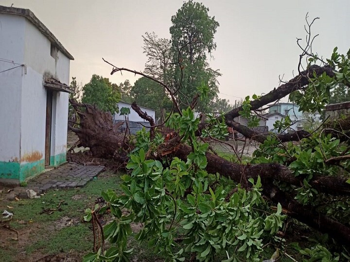 Chhattisgarh Weather Report: छत्तीसगढ़ के इस जिले में हुई आफत की बारिश, अंधड़ ने जमकर मचाई तबाही