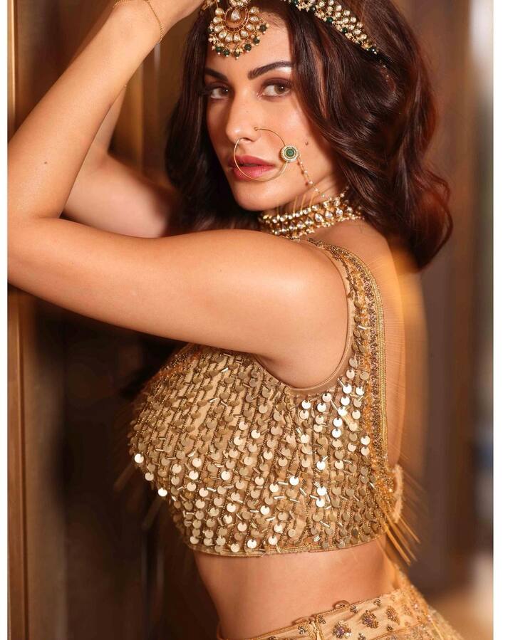 अमायरा हिंदीसह दाक्षिणात्य चित्रपटसृष्टीतील प्रसिद्ध अभिनेत्रींपैकी एक आहे.