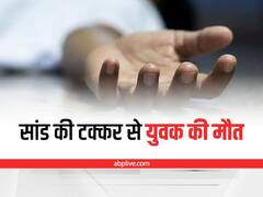 Noida Accident: नोएडा में सांड की टक्कर से स्कूटी सवार युवक की मौत, गुजरते वक्त अचानक सामने आ गया था सांड