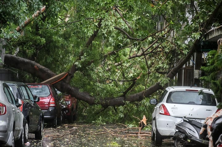 Delhi: Two Killed, Trees Uprooted, Buildings Damaged As Heavy Rains Batter City | Key Points Delhi: Two Killed, Trees Uprooted, Buildings Damaged As Heavy Rains Batter City | Key Points