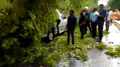 Delhi Weather: Heavy rain & thunderstorms in Delhi-NCR, traffic snarls, trees uprooted | Hoonkar