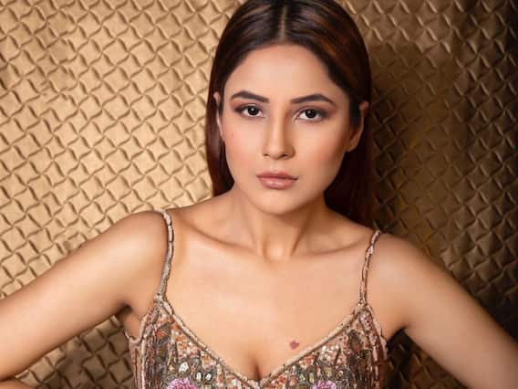 Shehnaaz Gill: शहनाज गिल का यह फोटशूट हुआ Viral, तस्वीरों में देखें हॉट लुक Shehnaaz Gill: शहनाज गिल का यह फोटशूट हुआ Viral, तस्वीरों में देखें हॉट लुक
