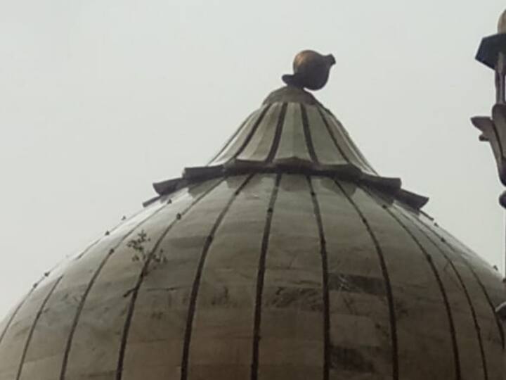 Delhi Rains Heavy damage to the dome of Jama Masjid due to strong storm in Delhi see picture Delhi Jama Masjid: दिल्ली में जोरदार आंधी से जामा मस्जिद की गुंबद को पहुंचा भारी नुकसान, तस्वीर आई सामने