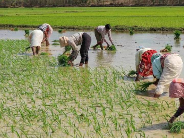 CM Inspection In Mettur Dam : திறக்கப்பட்ட மேட்டூர் அணை..  டெல்டாவில் ஆய்வுக்காகப் புறப்பட்ட முதலமைச்சர்.. முழு விவரம்..