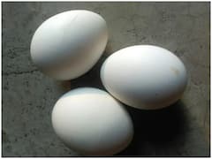Egg : आरोग्य जपण्यासाठी रोज अंडी खाताय? पण जरा थांबा, अन्यथा...