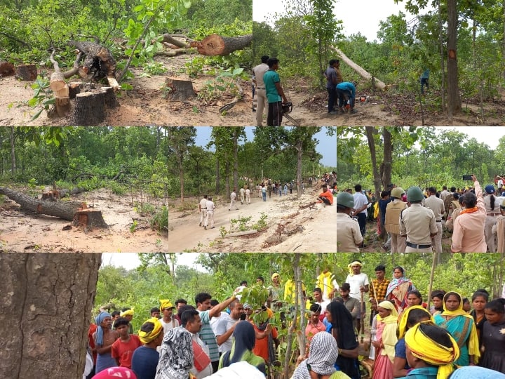 Sarguja more than 100 trees were cut down for coal mines despite of villagers protest ANN Sarguja News: सरगुजा में विरोध के बावजूद कोल खदान के लिए काट दिए गए सैकड़ों पेड़, जंगल में ड्रोन से रखी गई नजर