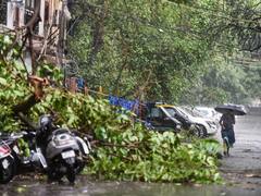 Heavy Rain in Delhi: दिल्ली-NCR में तेज बारिश, सैकड़ों पेड़ गिरे, उड़ानें प्रभावित, 100 किमी प्रति घंटे की रफ्तार से चली हवाएं | Video