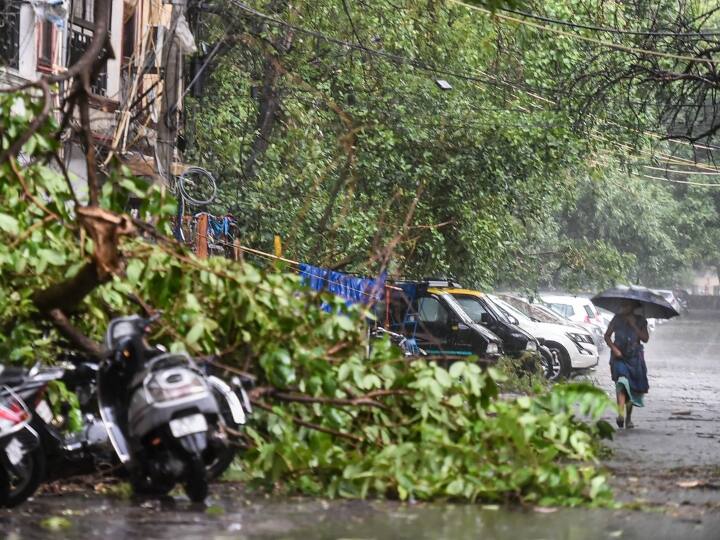 Heavy Rain in Delhi Thunderstorm In Parts Of Noida Gurgaon Heavy Rain in Delhi: दिल्ली-NCR में तेज बारिश, सैकड़ों पेड़ गिरे, उड़ानें प्रभावित, 100 किमी प्रति घंटे की रफ्तार से चली हवाएं | Video