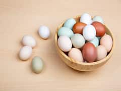 Egg : आरोग्य जपण्यासाठी रोज अंडी खाताय? पण जरा थांबा, अन्यथा...
