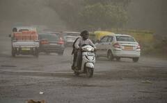 In PICS | Heavy Rain, Thunderstorm Lash Delhi, Uproot Trees